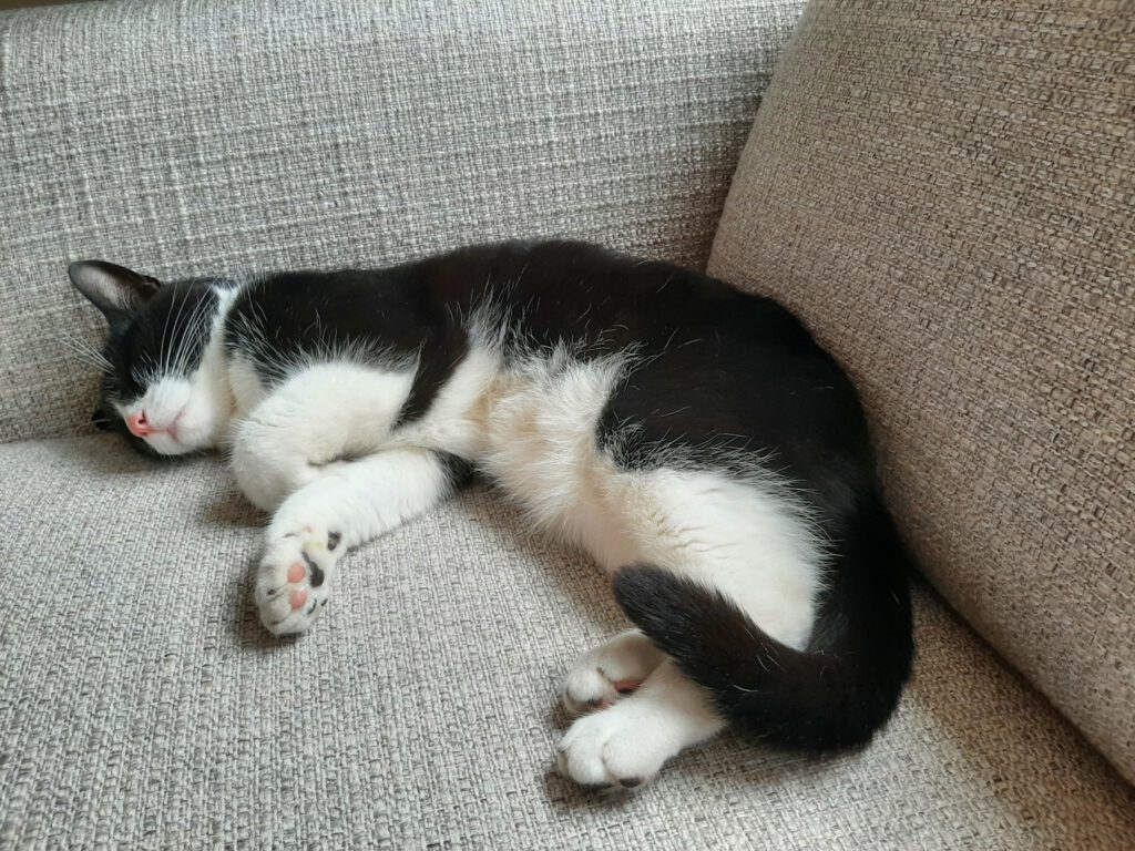 De huidige afbeelding heeft geen alternatieve tekst. De bestandsnaam is: 20230709_174346-scaled.jpg