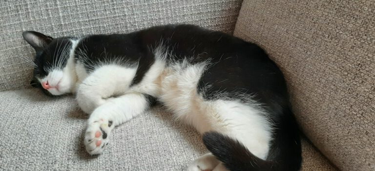 Welkom bij JeugdInZicht!